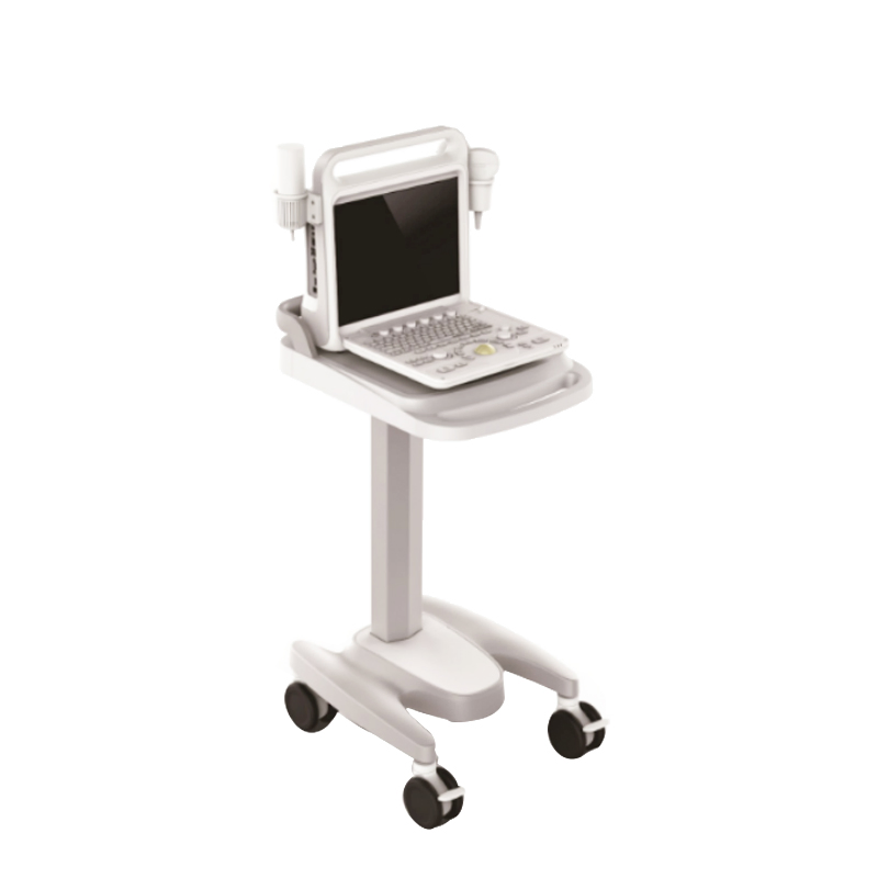 Uss-T30-D Escáner de ultrasonido Doppler color médico de pantalla dual 4D 5D Máquina de obstetricia y ginecología con carro