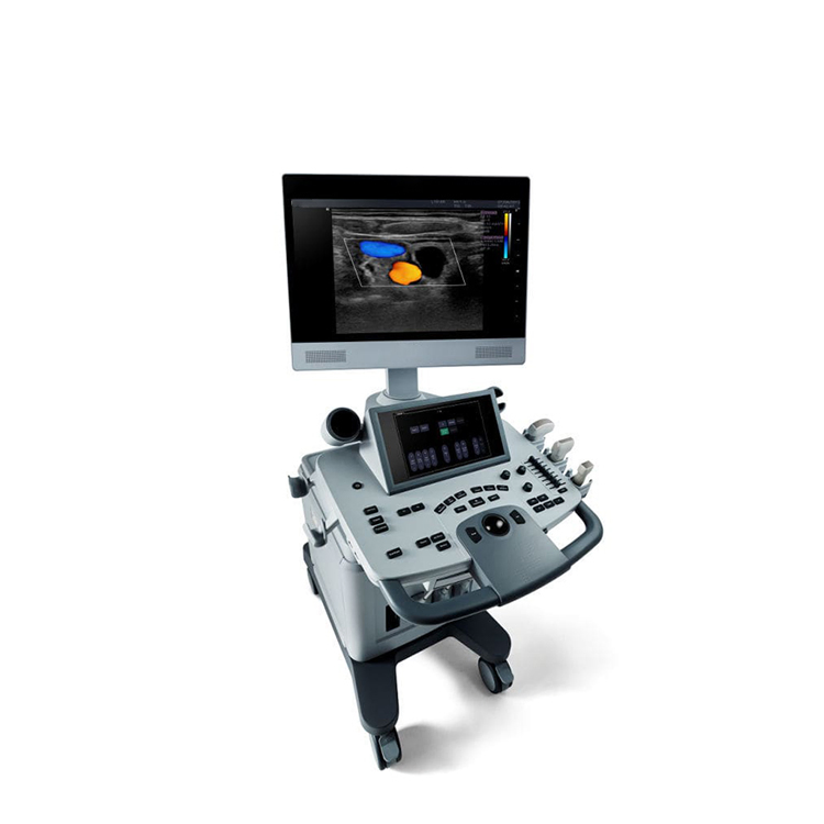 Acclarix Lx8 Venta Caliente Equipo Médico de China 3D 4D Máquina de Ultrasonido Cardíaco a Color con Carro