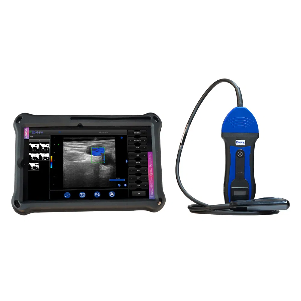 Bxl-S200 Máquina de ultrasonido bovino inalámbrica portátil con escáner de ultrasonido Doppler en color