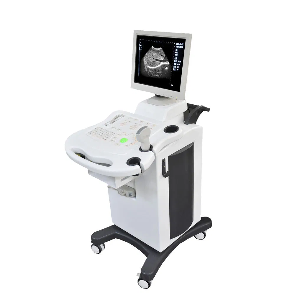 Máquina de ultrasonido digital portátil para diagnóstico veterinario y humano con pantalla a color