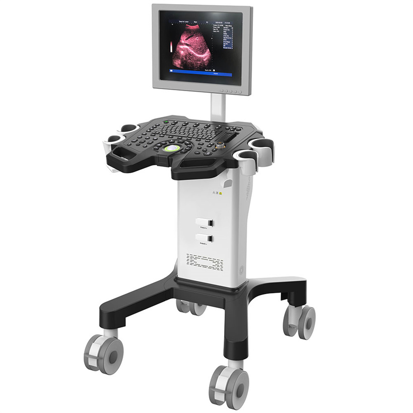 Máquina de diagnóstico ultrasónico digital en blanco y negro de fábrica directa