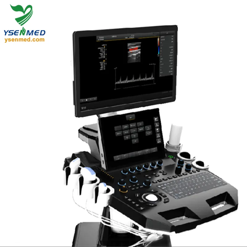 Ysb-T3 Detalle