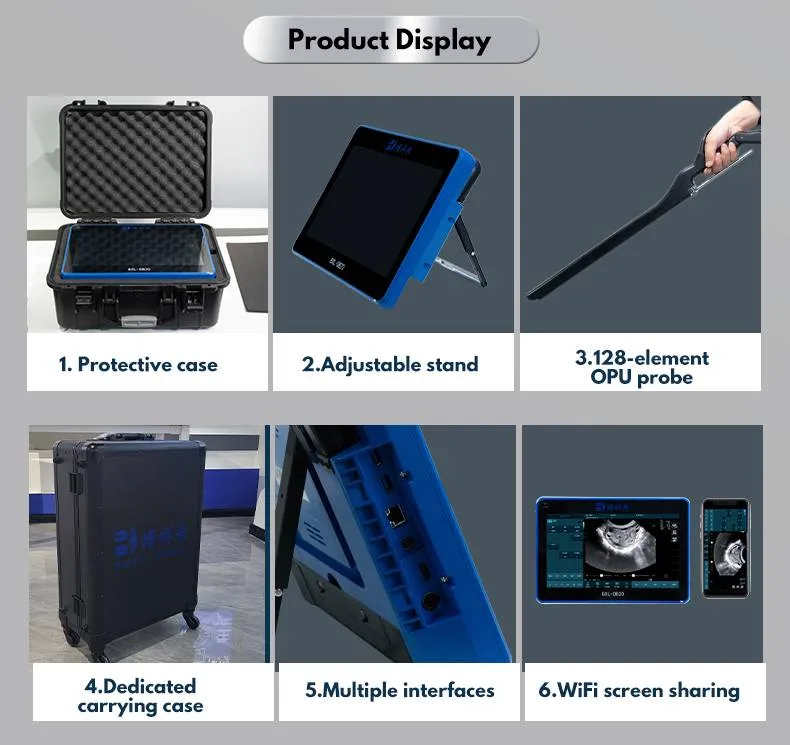Componentes del sistema