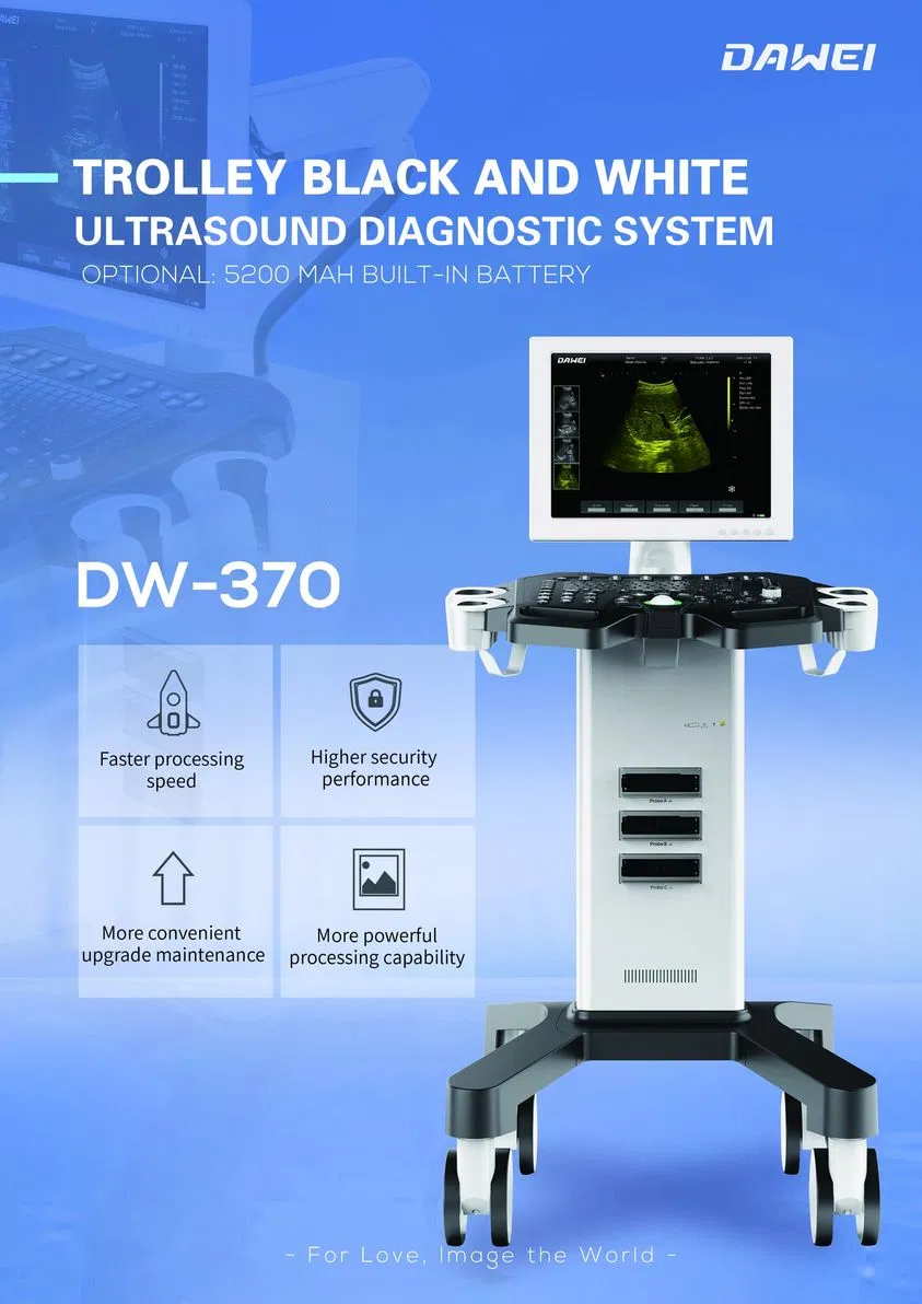 DW-370 Detalle