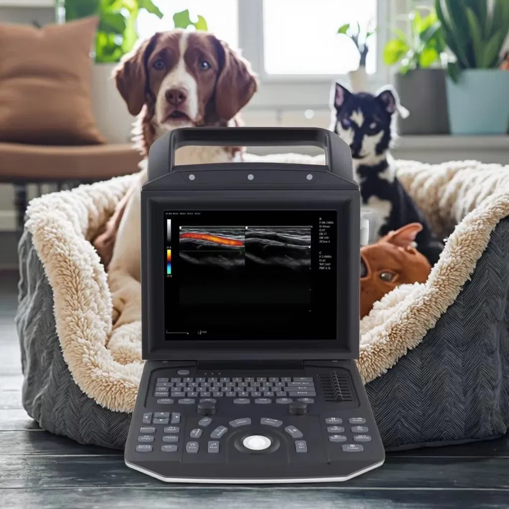 Escáner de Sonografía Mecan Medical Veterinary 12inch Máquina de Ultrasonido para Embarazo