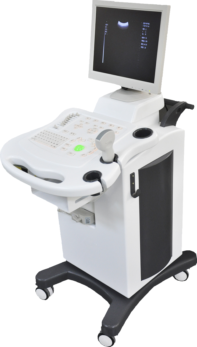 Máquina de ultrasonido digital portátil para diagnóstico veterinario y humano con pantalla a color