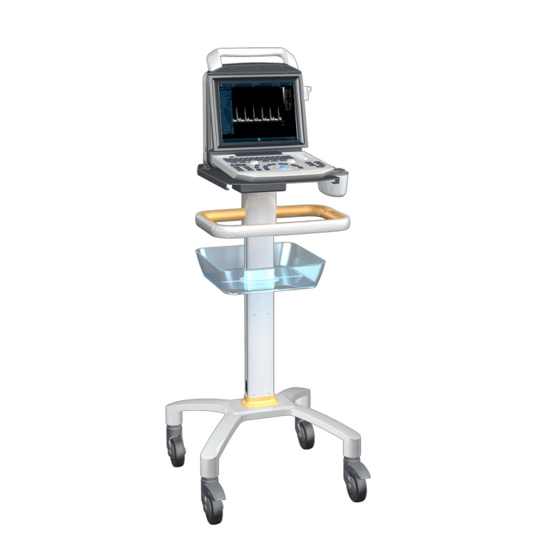 Sistema de diagnóstico ultrasónico hospitalario portátil, económico y de buena calidad, máquina de ultrasonido en blanco y negro para el embarazo