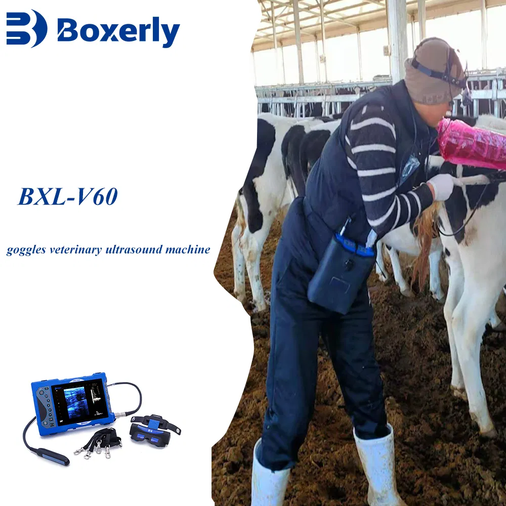 Bxl-V60 Escáner Ultrasónico Veterinario Portátil Máquina de Ultrasonido Veterinario en Venta con Gafas HD
