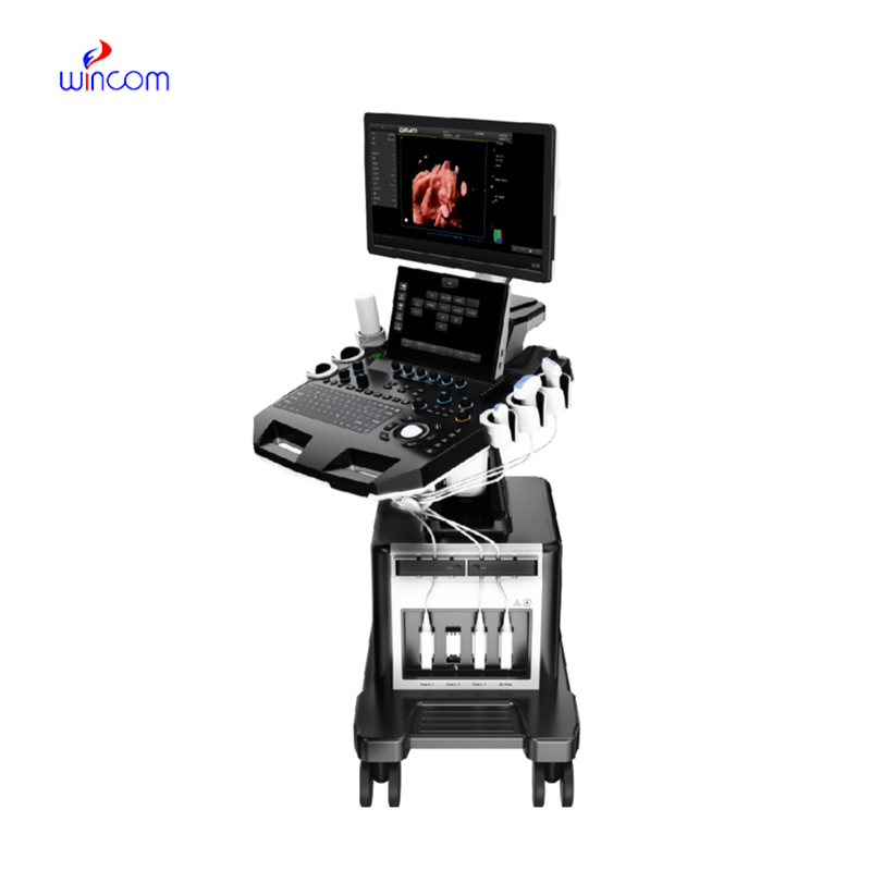 Uss-T30-D Escáner de ultrasonido Doppler color médico de pantalla dual 4D 5D Máquina de obstetricia y ginecología con carro