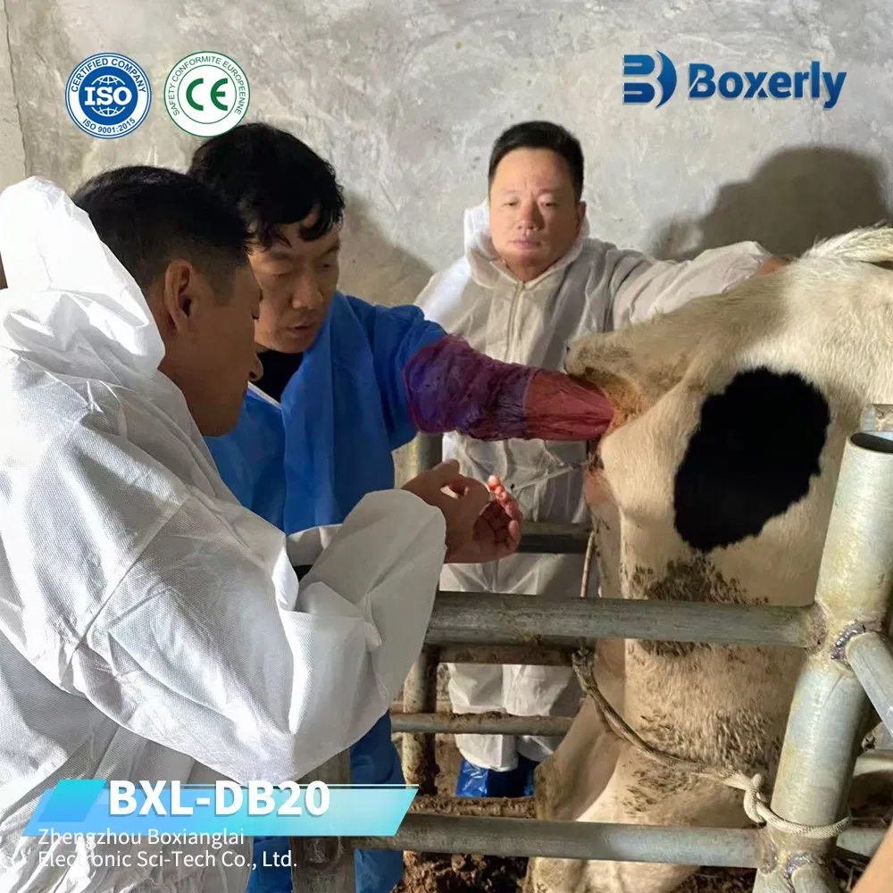 Bxl-Db20 Sistema de Ultrasonido Portátil para la Recolección de Ovocitos Bovina para Ganado Caballo Vaca