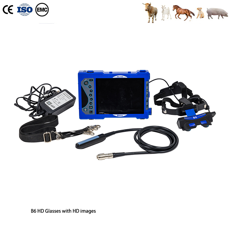 Bxl-V60 Máquina de ultrasonido portátil para caballos y cabras con HD 2D/3D Gafas