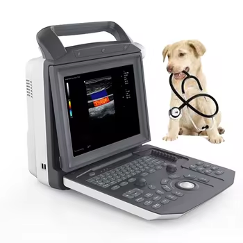 Hospital Veterinario Ecografía Ecocardiografía Diagnóstico 2D Máquina de Ultrasonido Portátil de Color Vascular de Mano