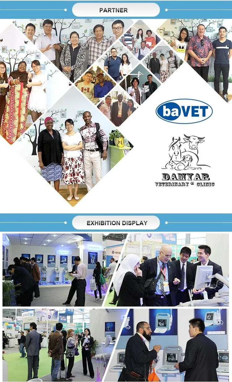Producción