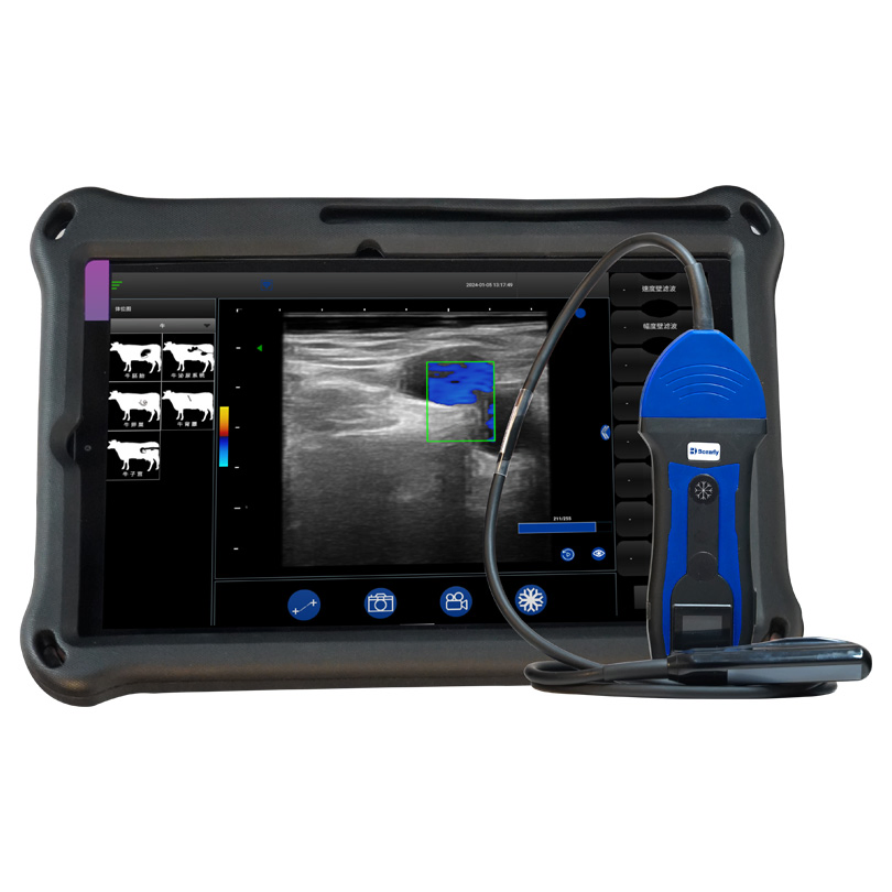 Bxl-S200 Máquina de ultrasonido veterinario terapéutico portátil para ganado, caballos, burros y ganado para diagnóstico de embarazo