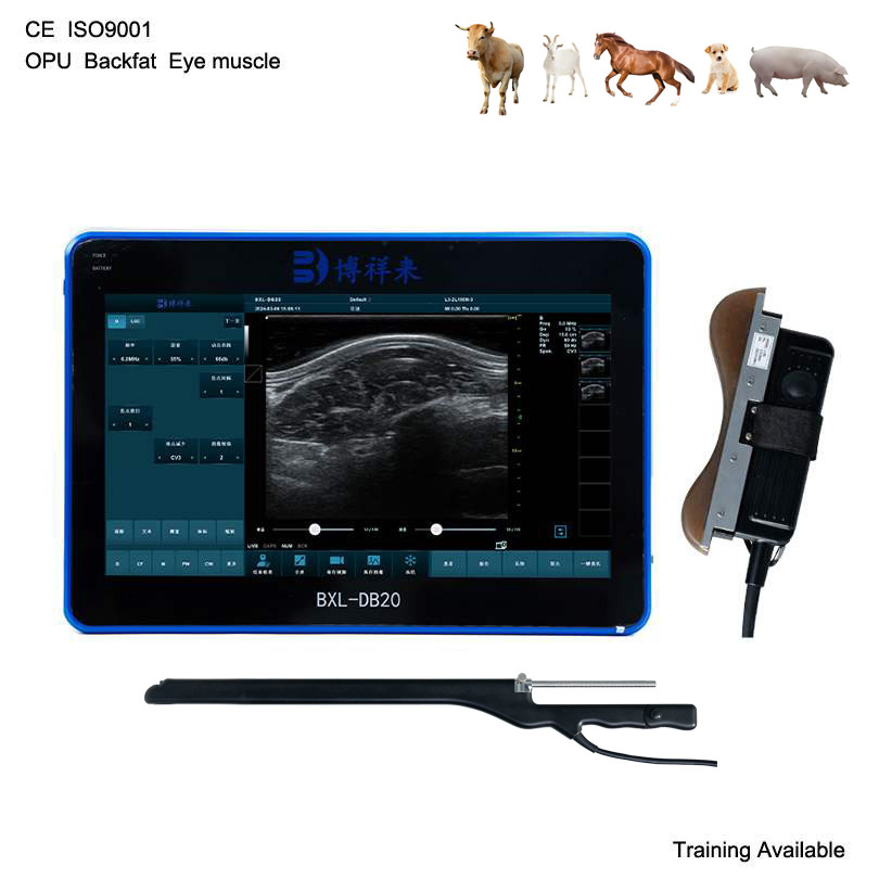 Bxl-Db20 Transferencia de embriones de yegua ultrasonido sistema de ultrasonido Doppler veterinario para caballos