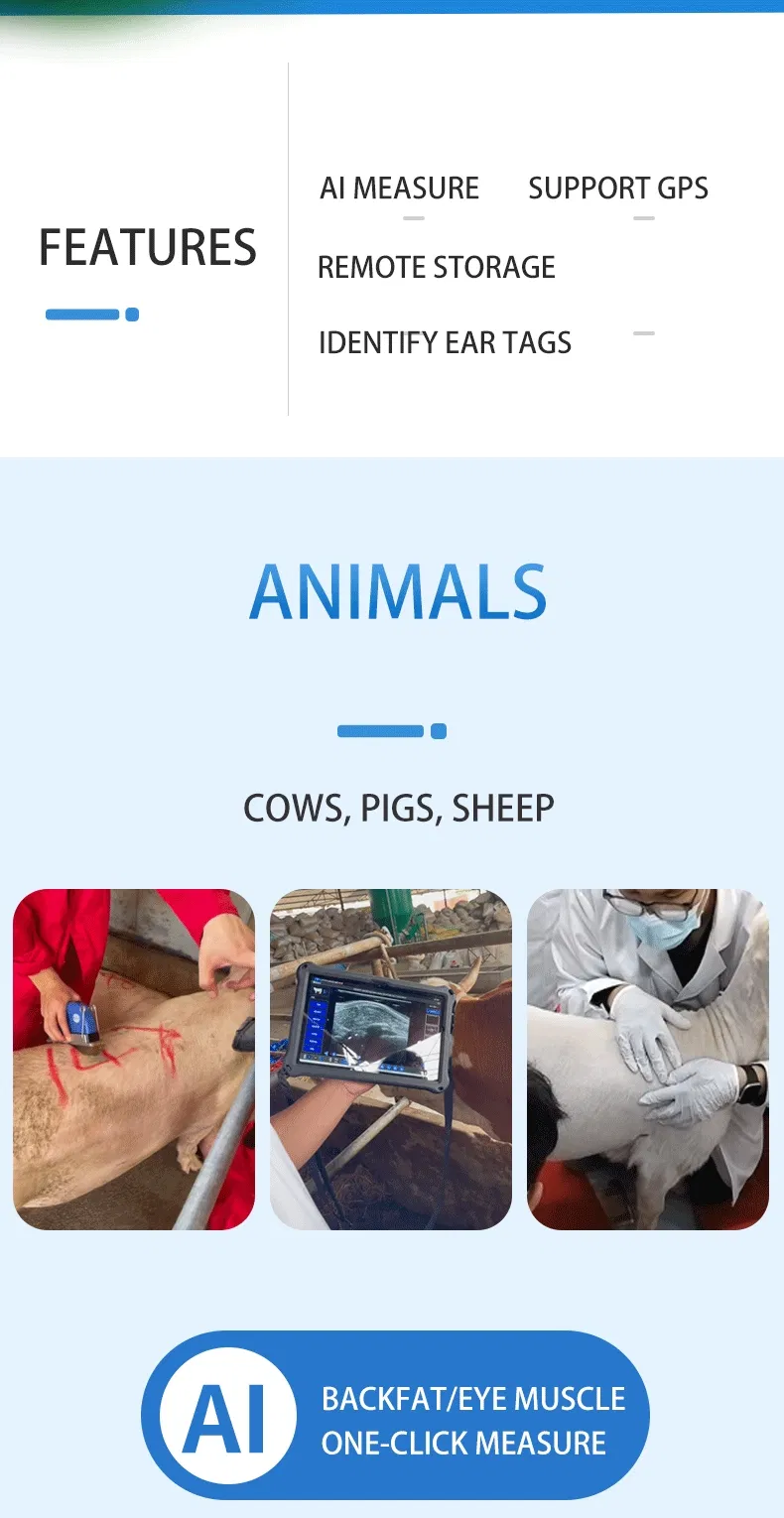 Detección AI Veterinario