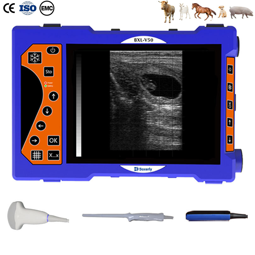 Bxl-V50 Máquina de ultrasonido portátil para ovejas, escáner de ultrasonido veterinario con sonda rectal especial para ovejas y cabras