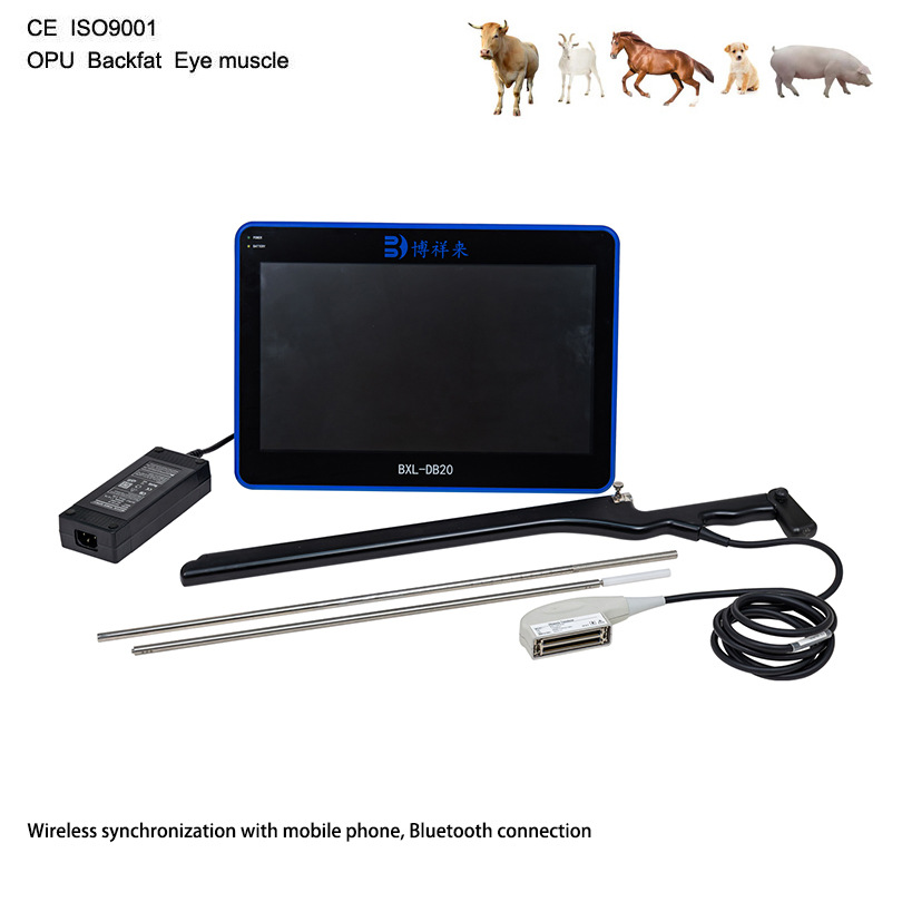 Bxl-Db20 Sistema de Ultrasonido Veterinario Portátil para la Recolección de Oocitos Bovina Exportación
