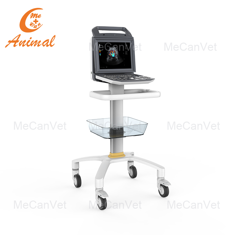 Máquina de ultrasonido Doppler color convexo para diagnóstico médico en hospital veterinario con sonda cardíaca