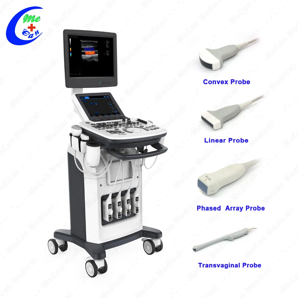 Escáner Doppler Máquina Veterinaria Terapia Física Chison Siterite Ultrasonido Vascular de Alta Calidad Mci0581