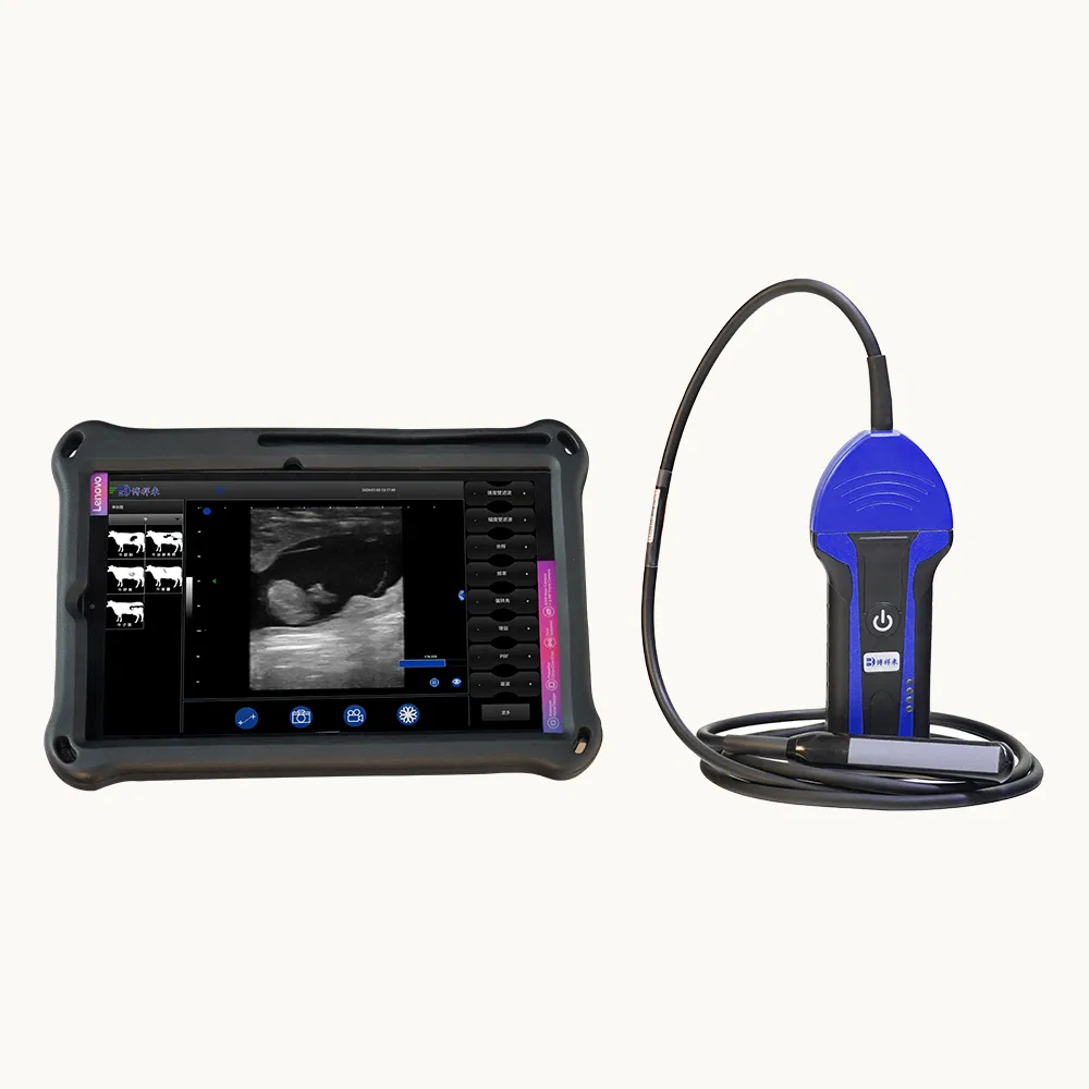Bxl-S100 Escáner de Ultrasonido Ecuestre para Caballos - Máquina de Ultrasonido Inalámbrica Portátil para Diagnóstico de Embarazo en Yeguas