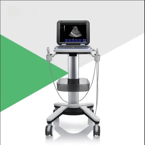 Sistema de Ultrasonido Doppler Color Avanzado 15 Pantalla LCD Médica de 3D 4D Pulgadas