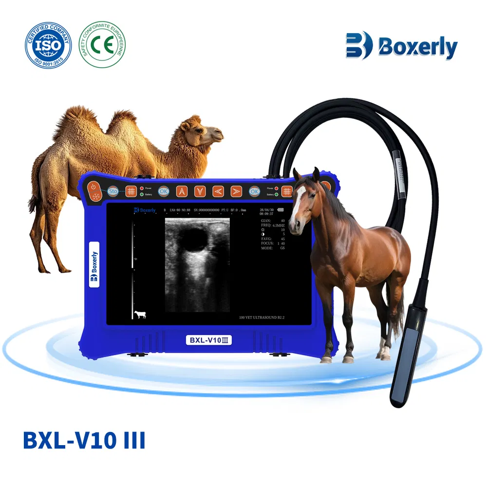 Bxl-V10 III Ganado Máquina de Ultrasonido Veterinario Portátil con HD Multi Sonda