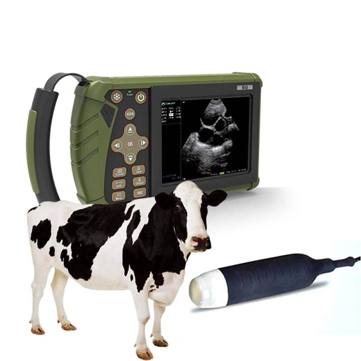 Equipo Veterinario de Animales Máquina de Ultrasonido para Embarazo