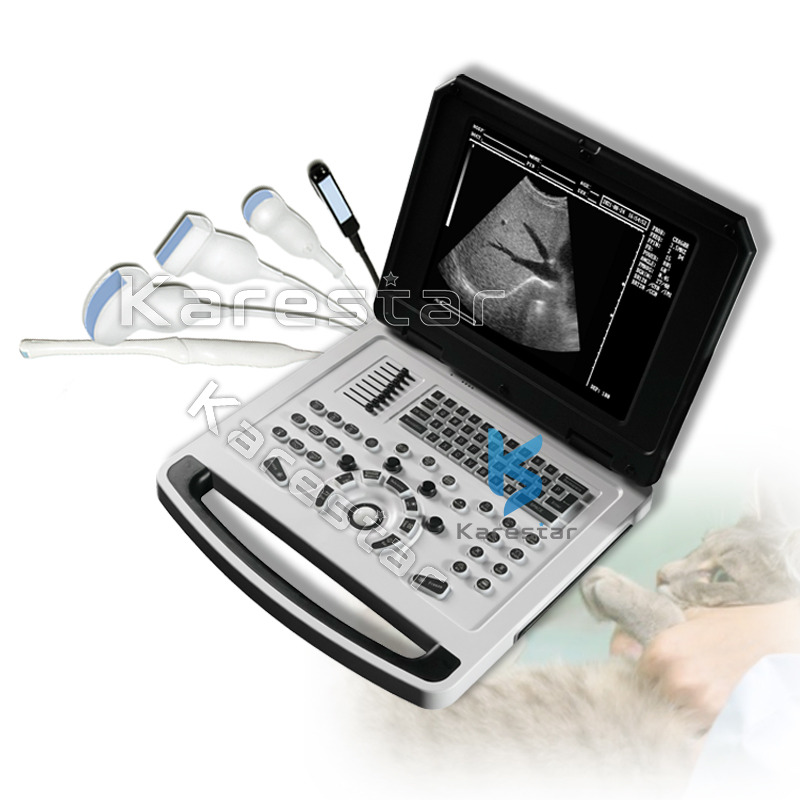 Equipo veterinario confiable, precio competitivo, alta calidad de imagen, máquina de ultrasonido portátil