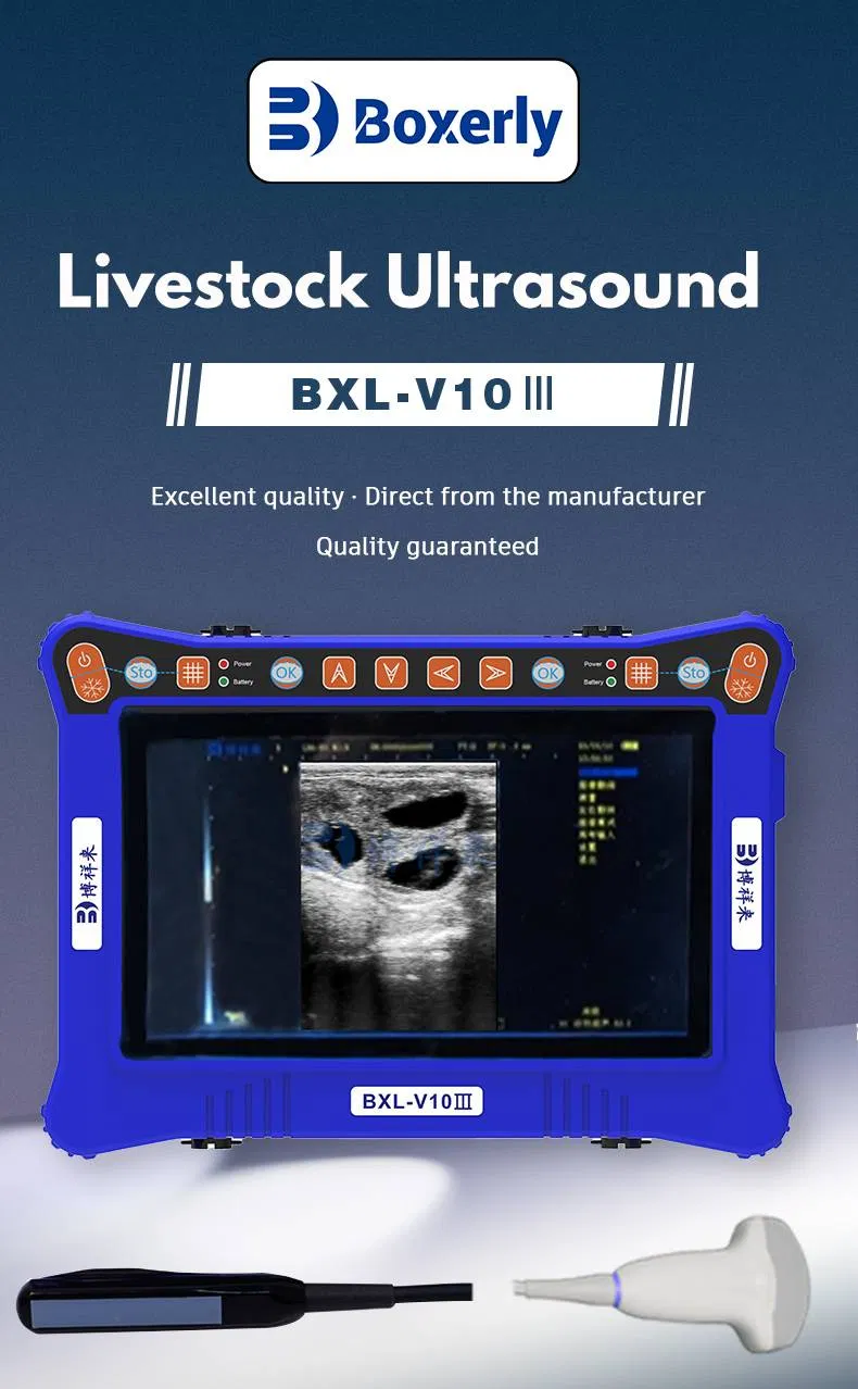 Bxl-V10 III Máquina de Ultrasonido Veterinario
