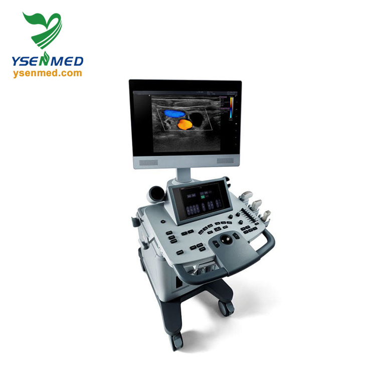 Acclarix Lx8 Venta Caliente Equipo Médico de China 3D 4D Máquina de Ultrasonido Cardíaco a Color con Carro