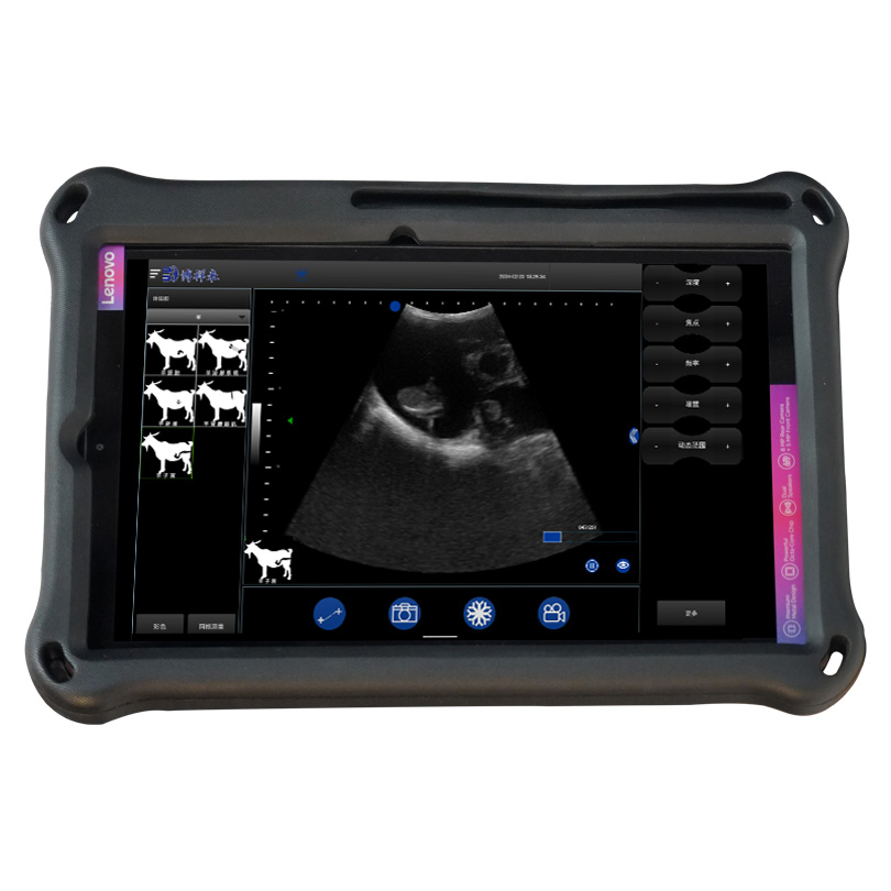 Bxl-S104 Mejor máquina de ultrasonido veterinario, ultrasonido para ganado y equinos en venta