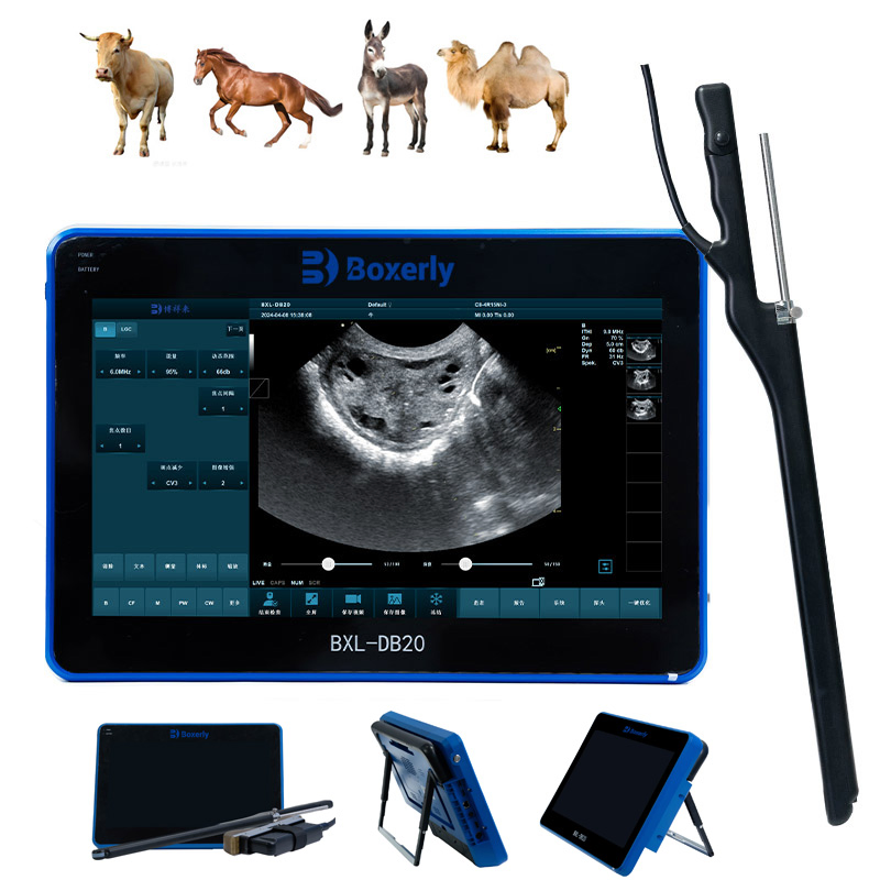 Bxl-Db20 Máquina de ultrasonido para caballos y ganado con Doppler colorido