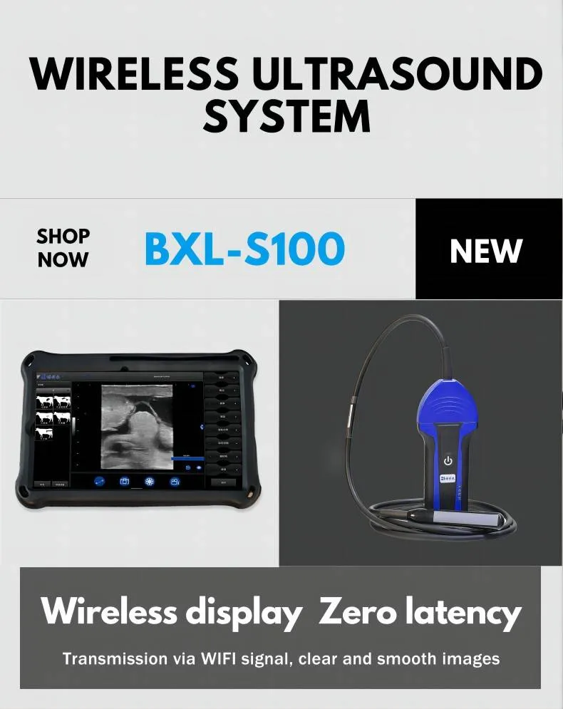 Escáner de Ultrasonido BXL-S100