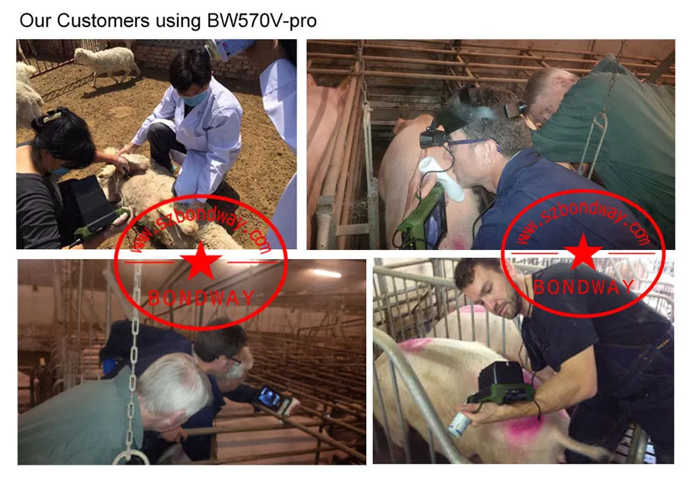 Escáner de reproducción, sistema de ultrasonido veterinario portátil, máquina ultrasonido veterinaria, con batería recargable, para uso al aire libre, fabricado en China, mejor precio