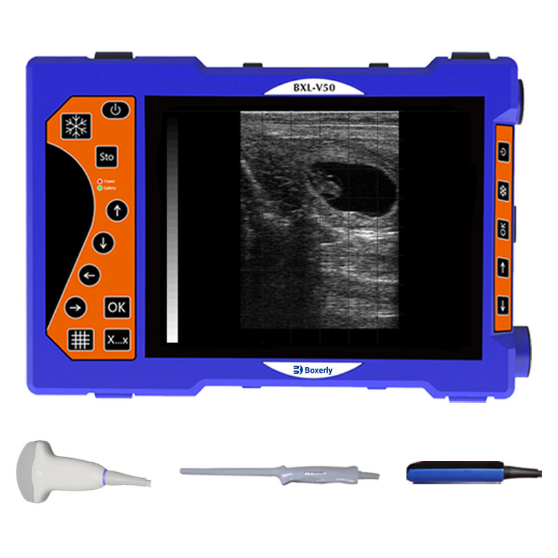 Bxl-V50 Máquina de ultrasonido portátil para ovejas, escáner de ultrasonido veterinario con sonda rectal especial para ovejas y cabras
