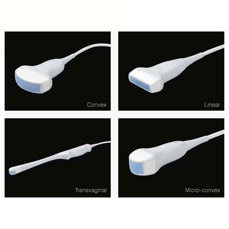 Tarjeta Médica Veterinaria Digital Móvil Cardiología Ob Gyn Máquina de Ultrasonido Doppler Color 3D 4D Escáner de Ultrasonido con Impresora