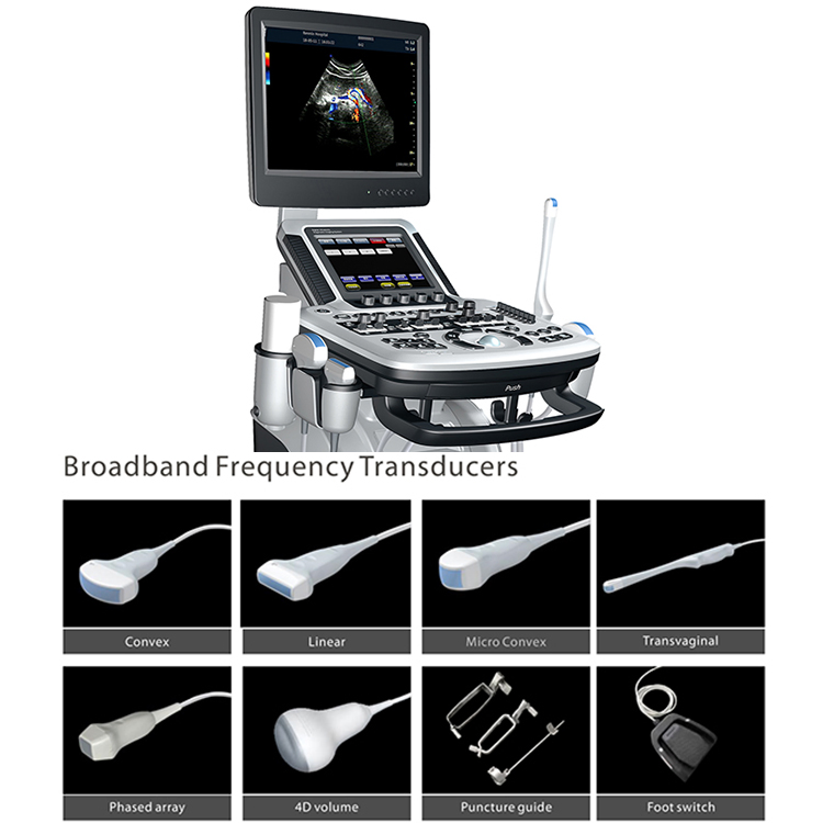 El Sistema de Diagnóstico Médico de Hospital de Precio Más Bajo Escáner Ultrasónico Portátil 3D 4D 5D Máquina de Ultrasonido Doppler Color Trolley