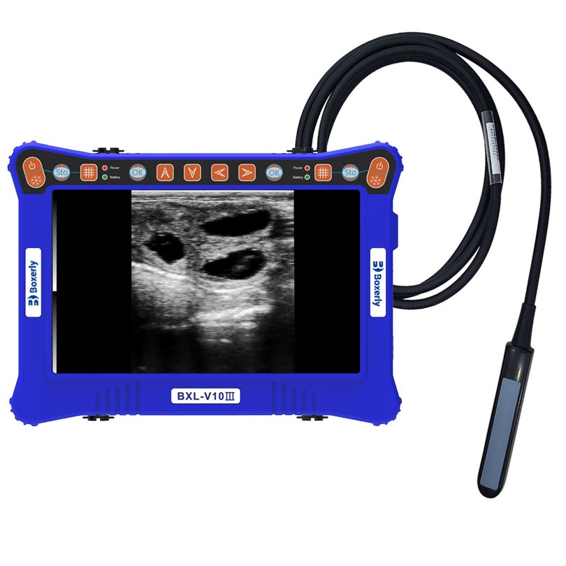 Bxl-V10 III Ganado Máquina de Ultrasonido Veterinario Portátil con HD Multi Sonda