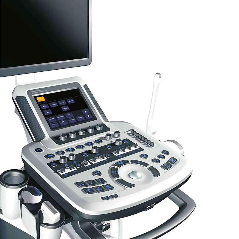 Tarjeta Médica Veterinaria Digital Móvil Cardiología Ob Gyn Máquina de Ultrasonido Doppler Color 3D 4D Escáner de Ultrasonido con Impresora