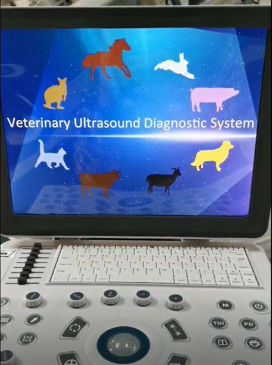 Sistema de diagnóstico por ultrasonido Doppler color digital completo veterinario