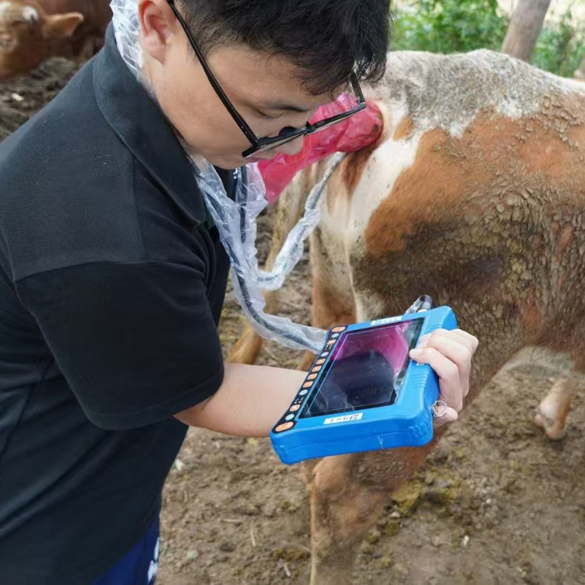 Bxl-V10 III Equipo de Ultrasonido Veterinario Portátil para Ganado Vaca Bovina Caballo