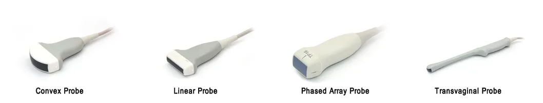 Transductores