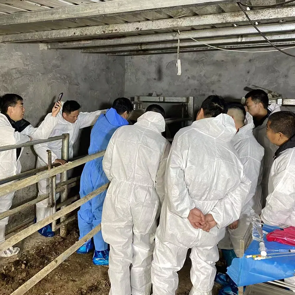 Bxl-Db20 Sistema de Ultrasonido Veterinario Asistido por Ai para la Recuperación de Oocitos Bovina en Granjas Lecheras