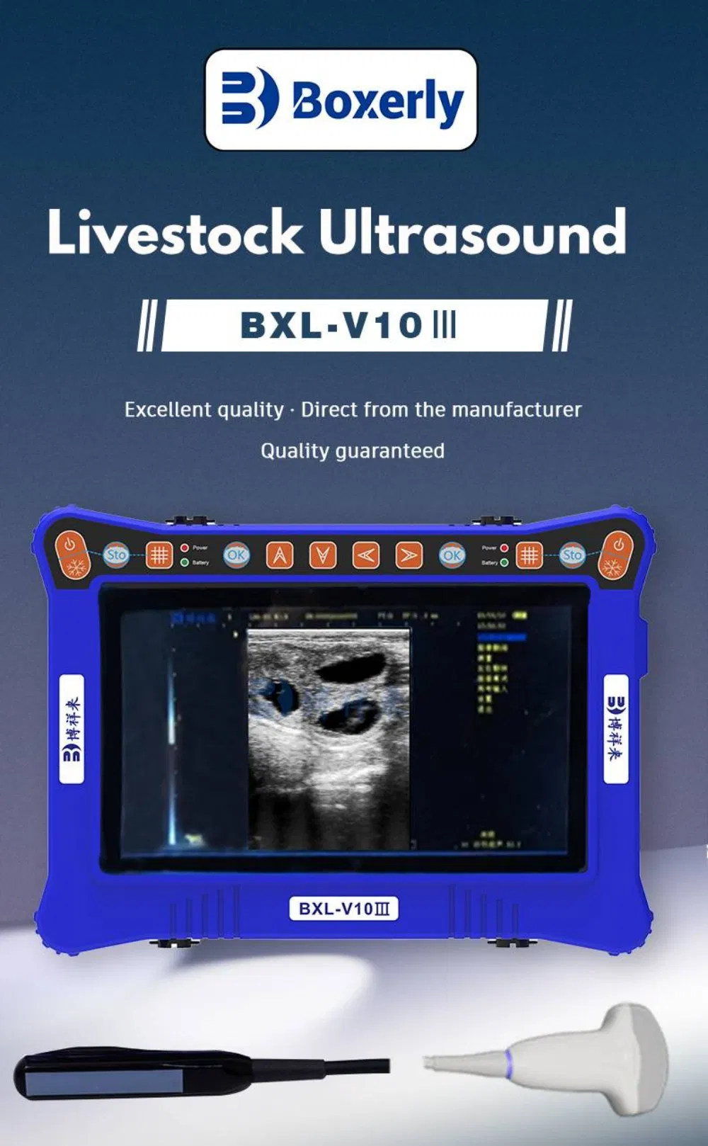 BXL-V10 III Ganado Máquina de Ultrasonido