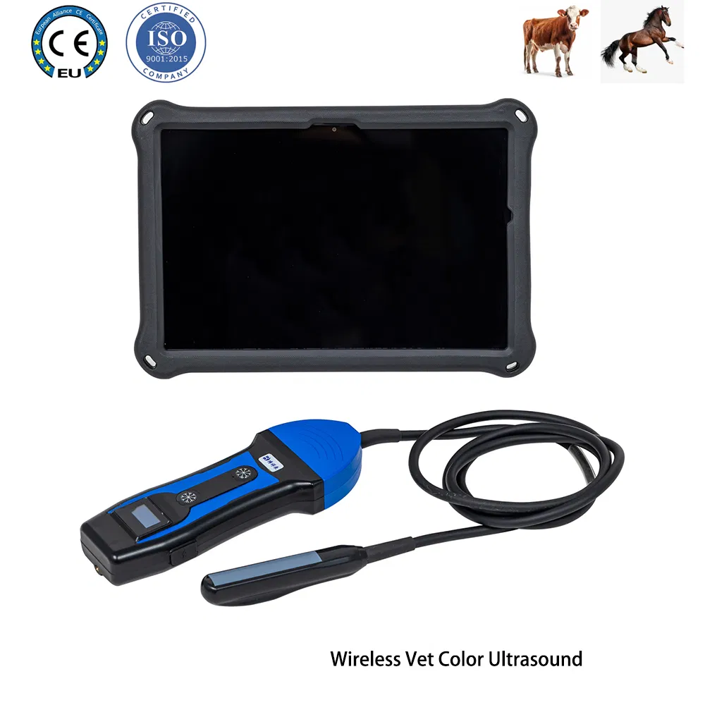 Bxl-S200 Máquina de ultrasonido veterinario terapéutico portátil para ganado, caballos, burros y ganado para diagnóstico de embarazo