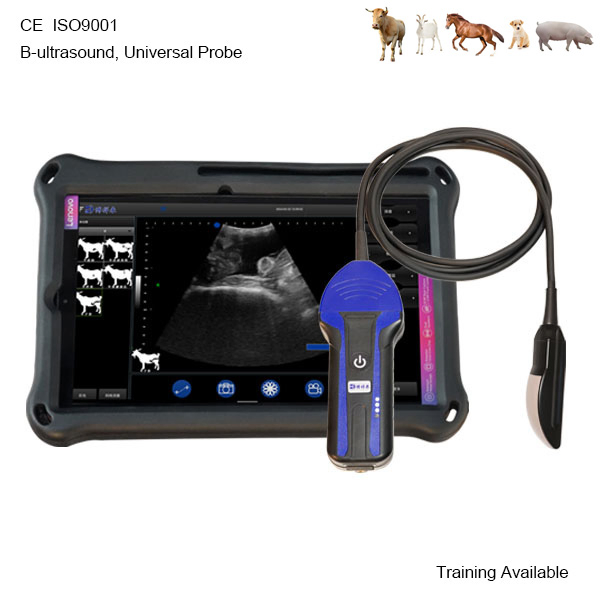Bxl-S104 Mejor máquina de ultrasonido veterinario, ultrasonido para ganado y equinos en venta
