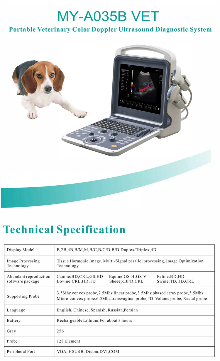 My-A035b Máquina de ultrasonido portátil Doppler color veterinario de productos médicos