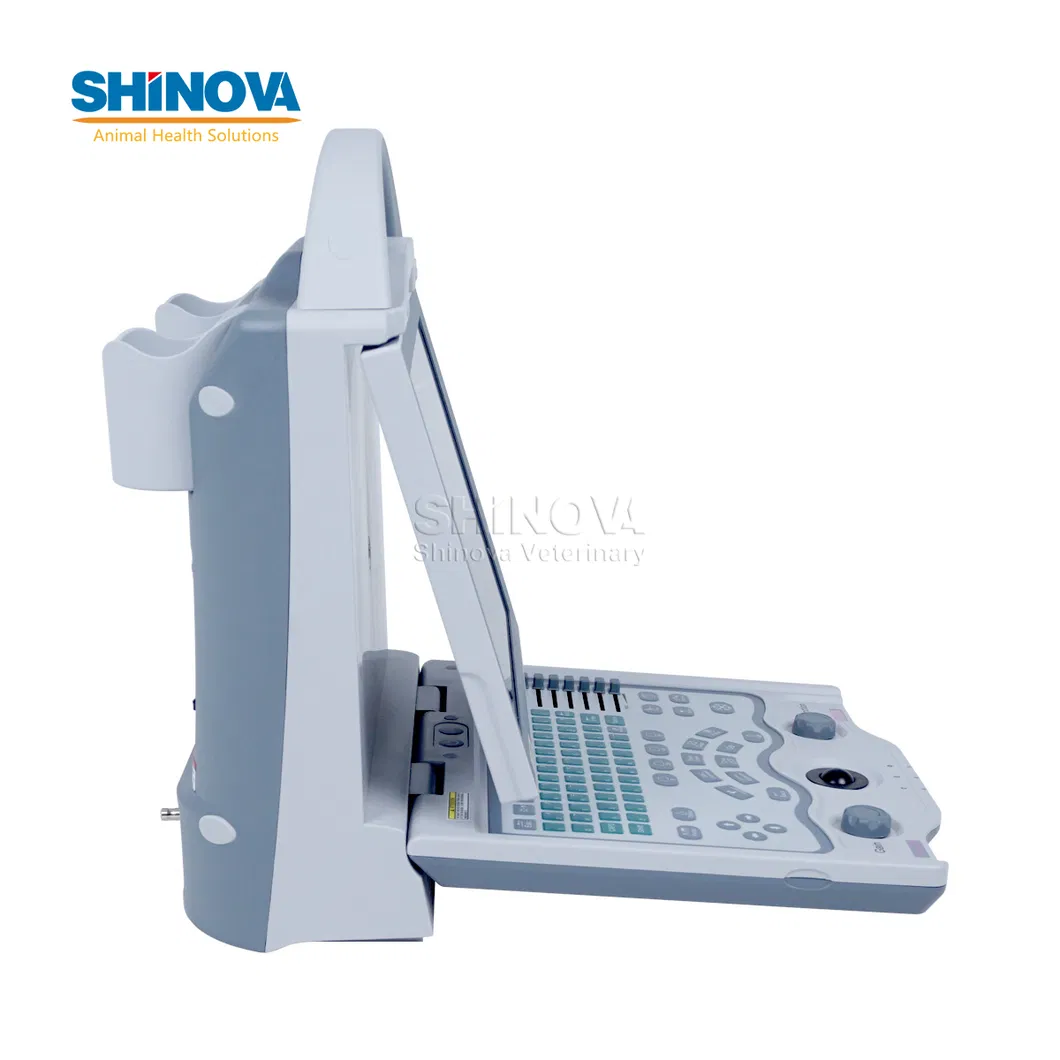 SonoScan E6V Detail 7
