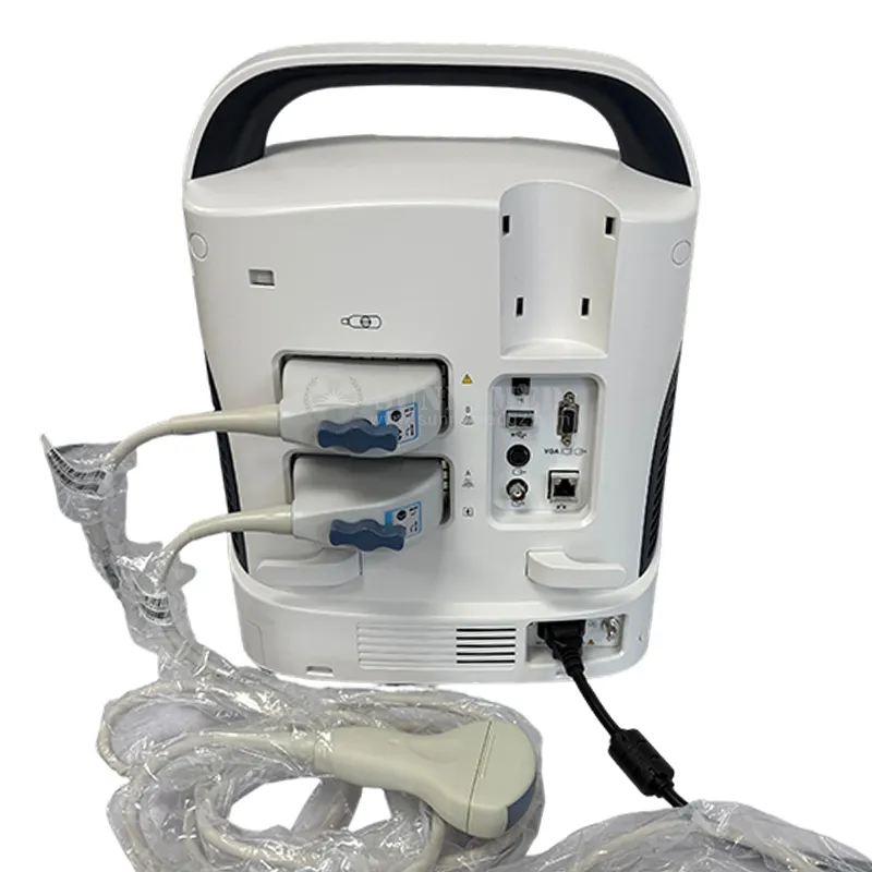 DP 20 Vista 2